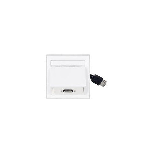 VivoLink - Ausgang - geeignet für Wandmontage - USB Type A (WI231275) afbeelding 1