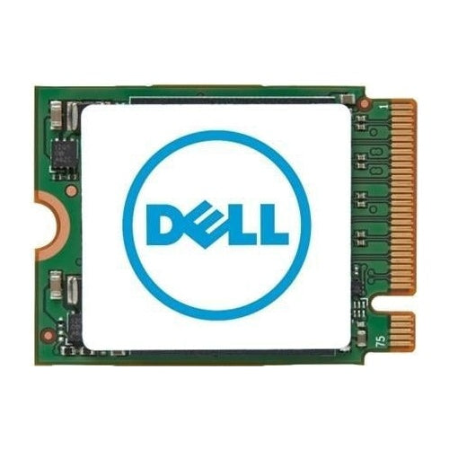Dell 256GB M.2 2230 PCIE NVME SSD (KFV6T) afbeelding 1
