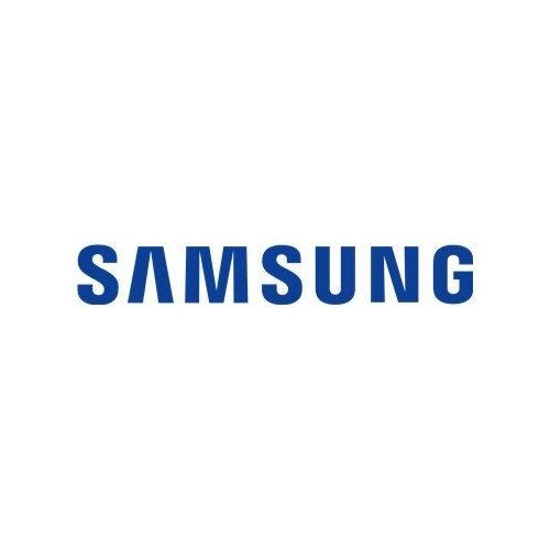 Dell Samsung - SSD - 256GB - intern - M.2 2230 - PCIe 3,0 x4 (NVMe) - PM991a (VT6KM) afbeelding 1