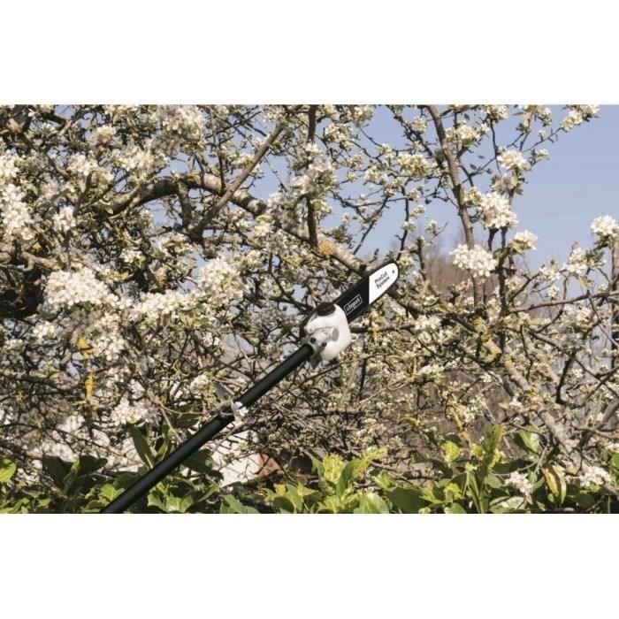 SCHEPPACH 52CC 4-in-1 Petrol Brush Cutter