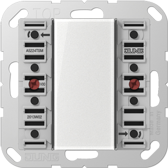Pushbutton Sensor Module 2-Gang AC/DC 24V 2-K. 4Sp. A 5224 TSM (A5224TSM) AC/DC24V