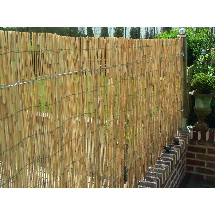 Paillon - NATURE - Tiges de roseaux naturels pelés - 3 x 1 m