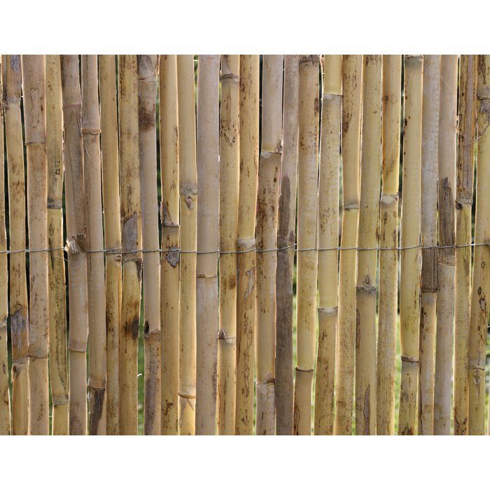 NATURE Reed Fencing - Premium Natural Split Reeds - 3 x 1 m