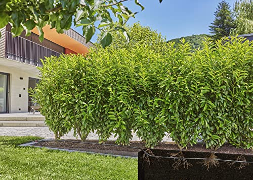 Pos 5 — EAN 4066407002951