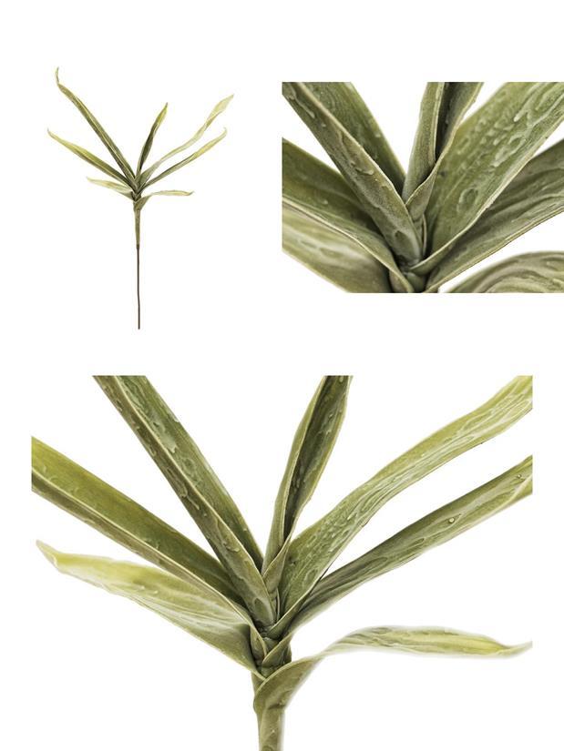 Pos 1 — EAN 4026397582987