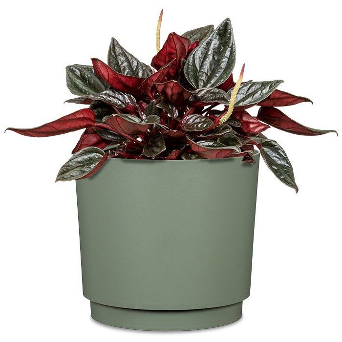 GARDEN ID Round Cache-Pot - Plano - Ø 25 - 7 L - H 22 cm - Light Green