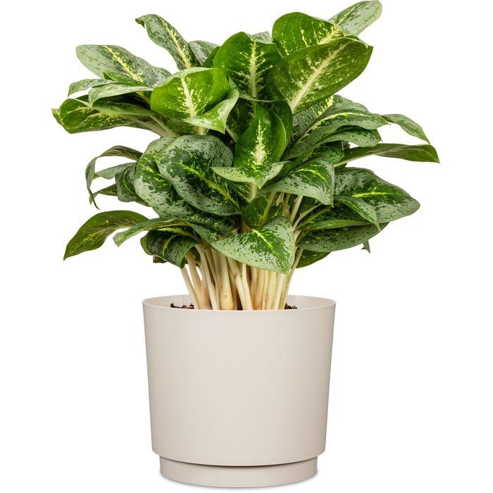GARDEN ID Round Plant Pot - Plano - Ø 25 - 7 L - H 22 cm - Warm White