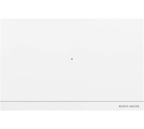 Busch-Jaeger Smart Access Point Pro D04011-03 (2TMA400260W0008) afbeelding 1