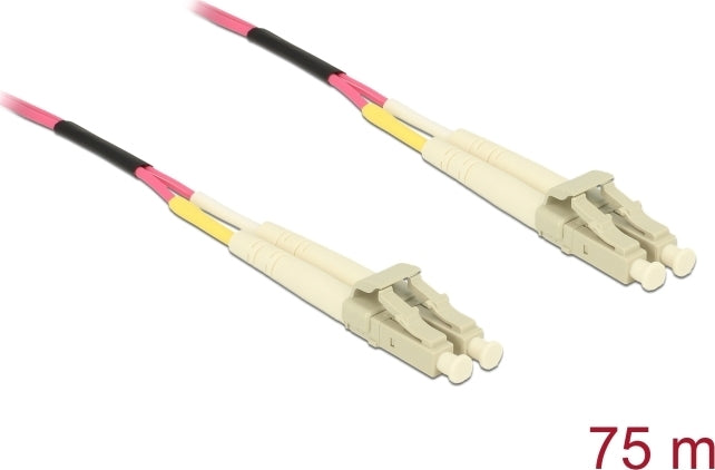 Delock 80156 LC Duplex Multimode OM4 Fiber Optic Cable 75 m - 80156