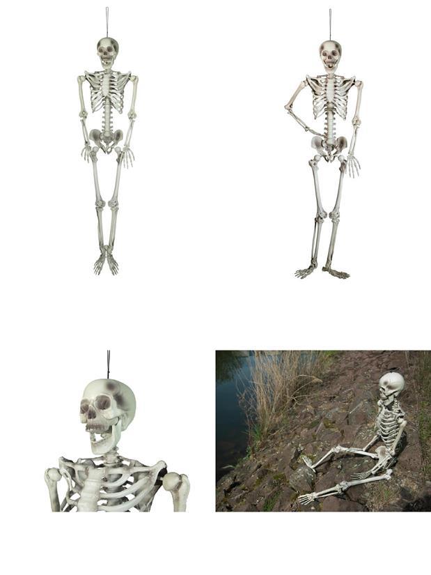 Pos 1 — EAN 4026397676433