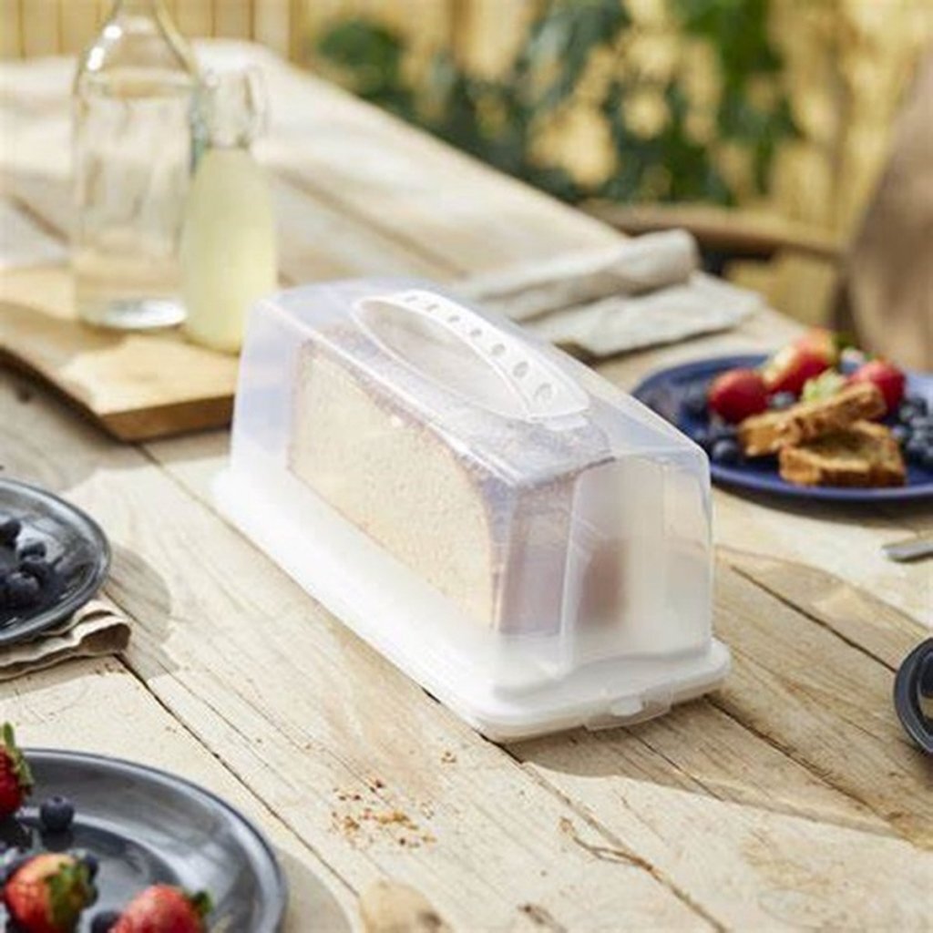 Rotho Fresh Rectangular Cake Box 36x16.5x16.5 cm White/Transparent