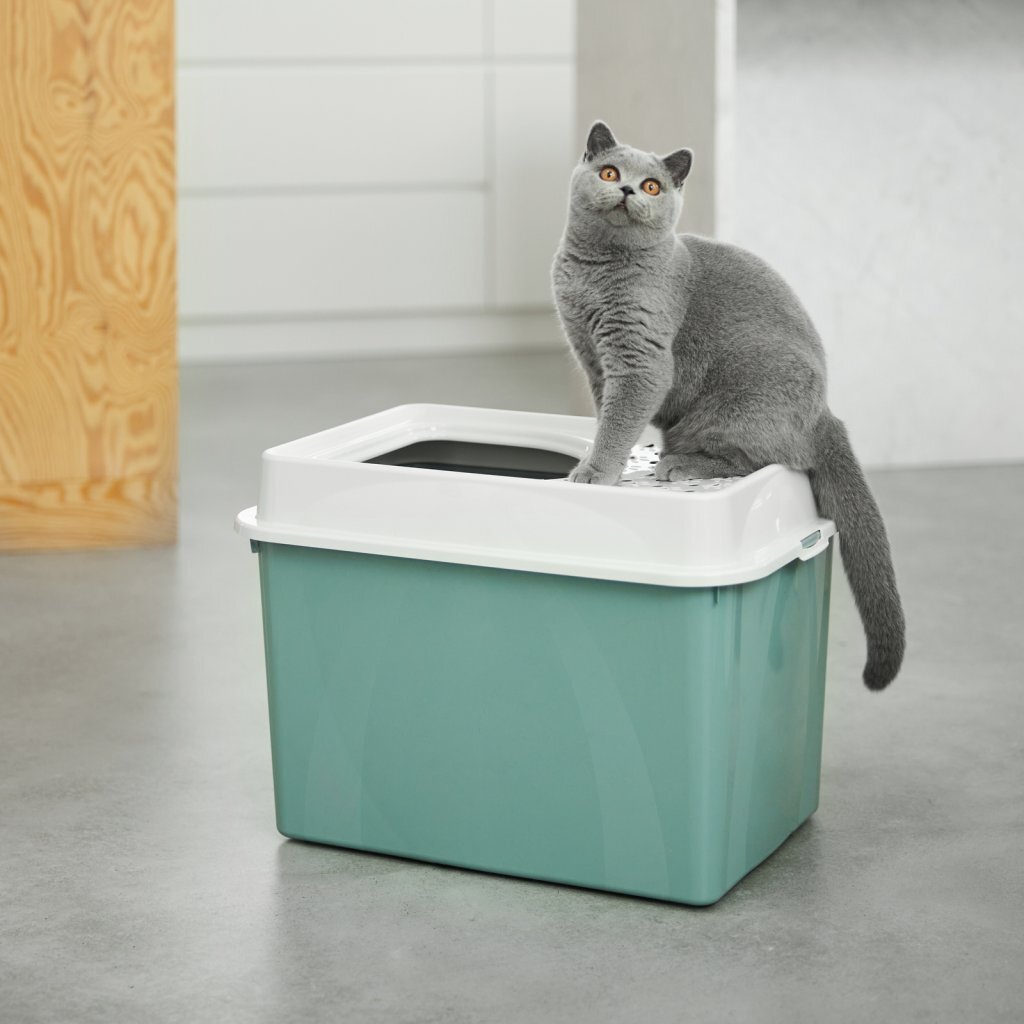 Rotho Eco Berty Cat Litter Box with Top Entrance Green/Sand 57.2 x 39.3 x 40.4 cm