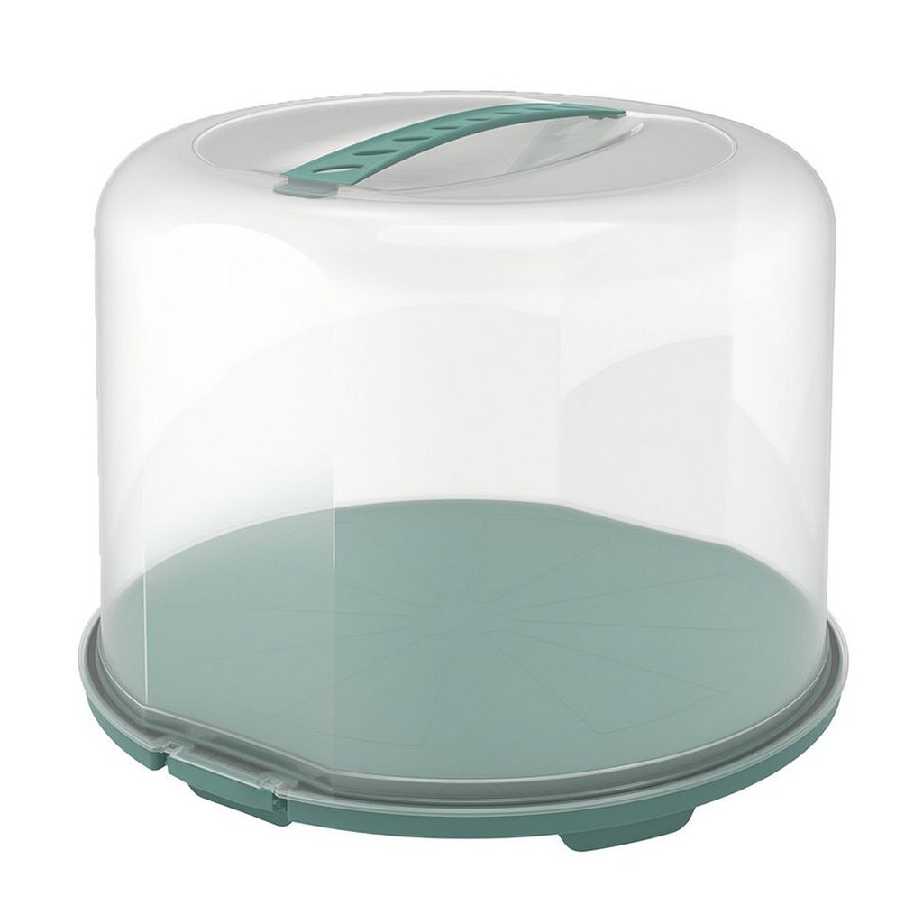 Rotho Fresh Cake Box XL 35.5x34.5x26 cm Mistletoe Green/Transparent