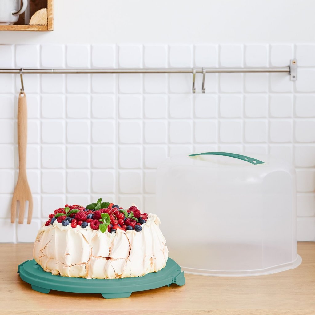 Rotho Fresh Cake Box XL 35.5x34.5x26 cm Mistletoe Green/Transparent
