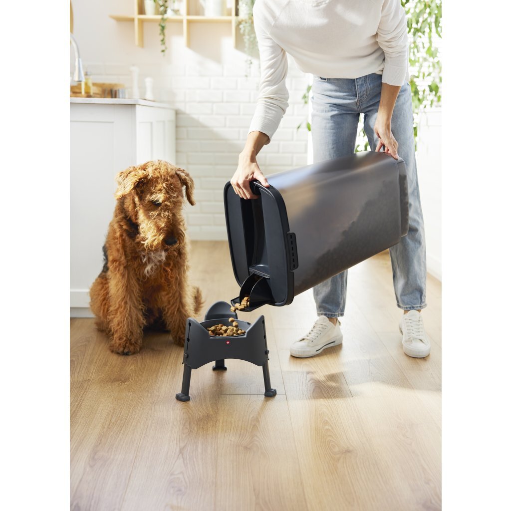 Rotho Cody Pet Food Container 50 L Anthracite/Transparent