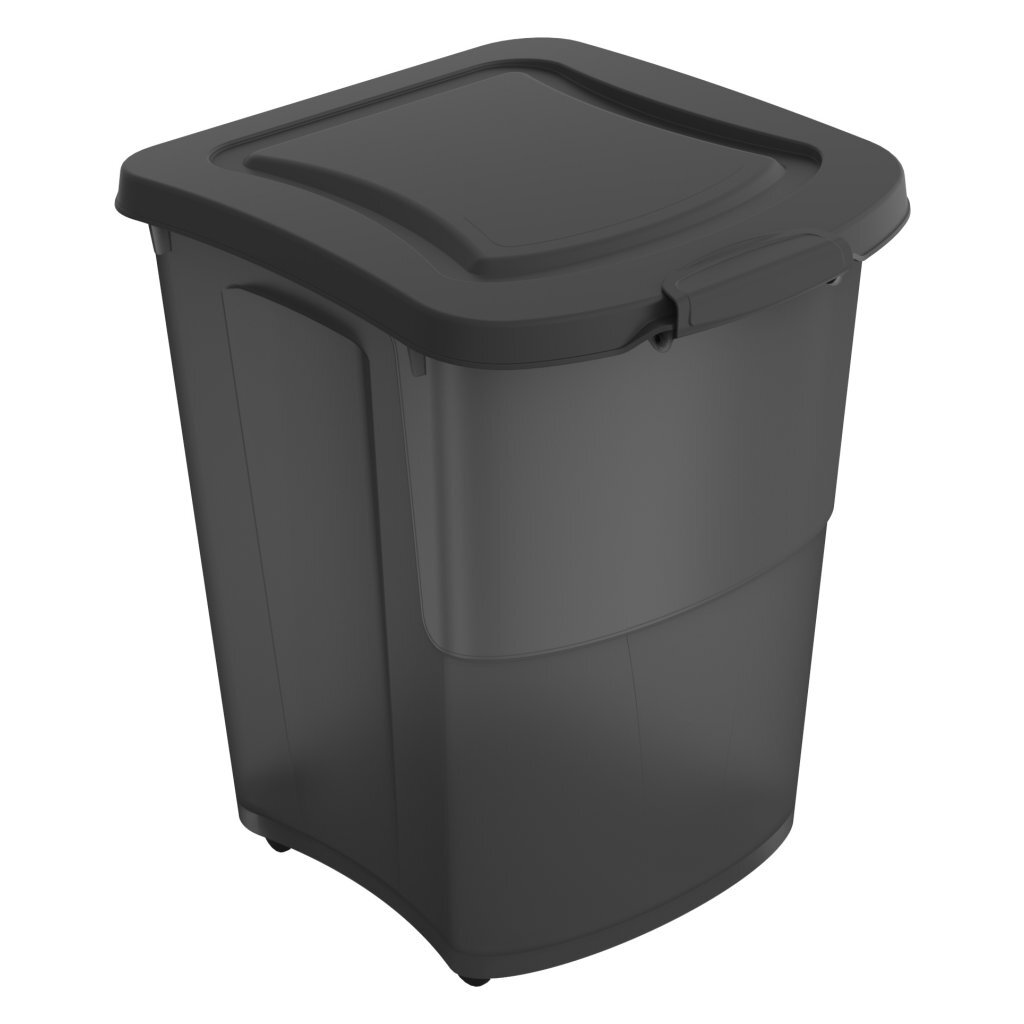 Rotho Archie Pet Food Container 38 L - Anthracite/Transparent