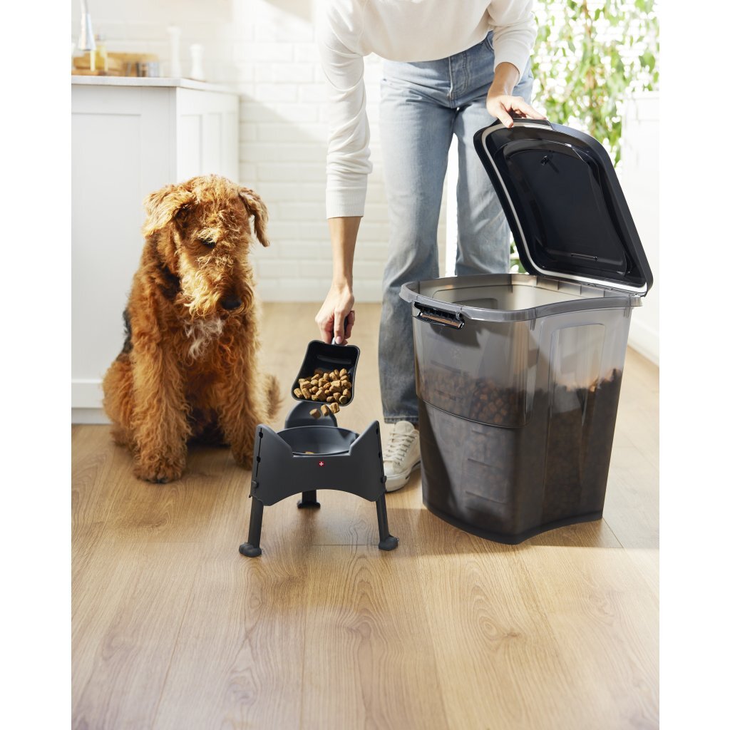 Rotho Archie Pet Food Container 38 L - Anthracite/Transparent