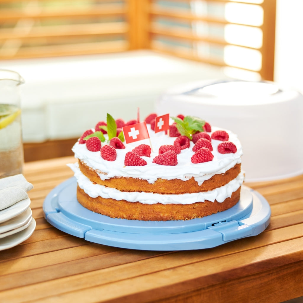 Rotho Fresh Cake Box Cool & Horizon Blue
