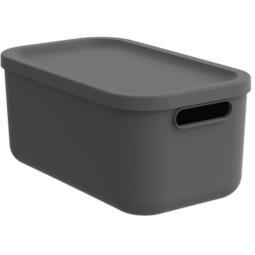Rotho Albula Storage Box 12 L Anthracite