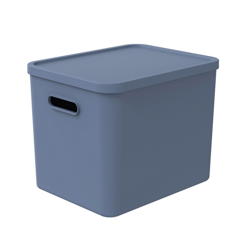 Rotho ALBULA Multibox 29.5x29x37 cm 27 L Horizon Blue