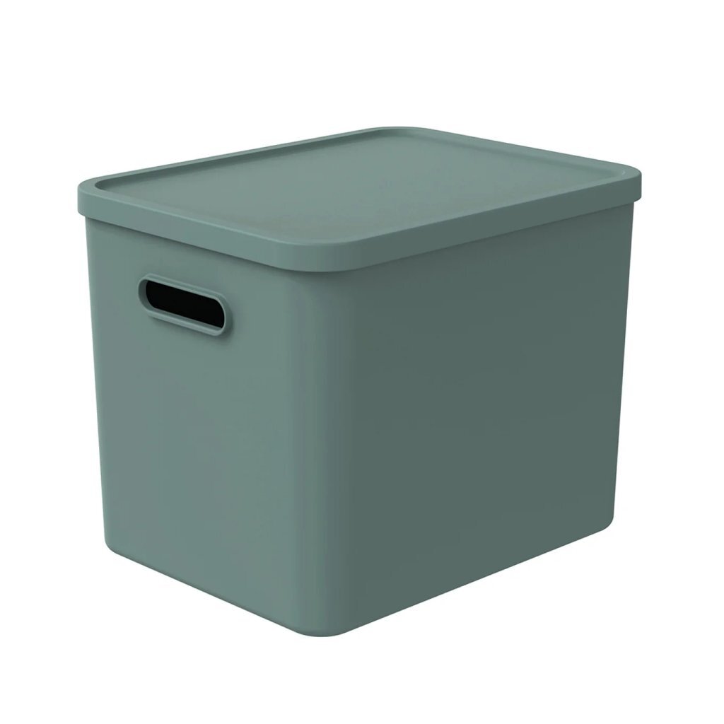 Rotho ALBULA Multibox 29.5x29x37 cm 27 L Mistletoe Green
