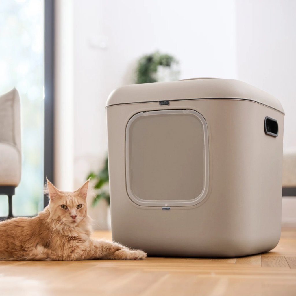 Rotho MyPet Biala XL Cat Litter Box 61.4x49.2x57.6 cm Beige
