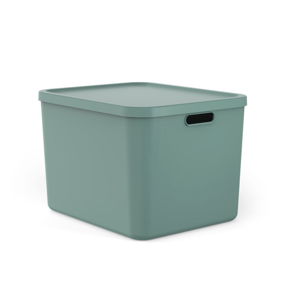 Rotho ALBULA Multibox 55 L Mistletoe Green 489x405x340 mm