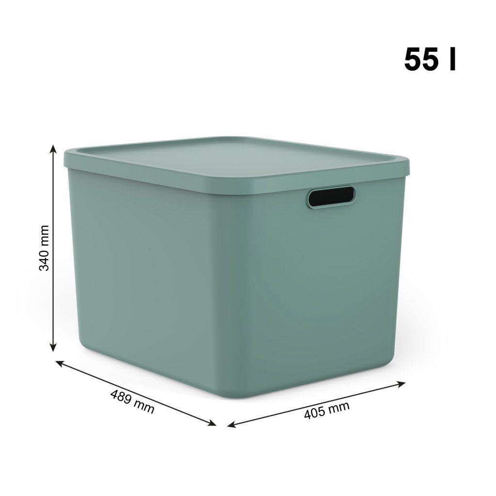 Rotho ALBULA Multibox 55 L Mistletoe Green 489x405x340 mm