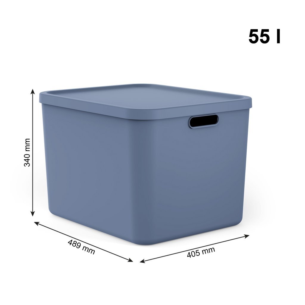 Rotho Wednesday Multibox 55 L Blue