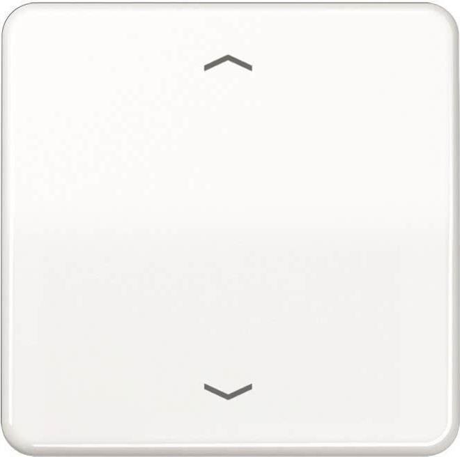 CD 1700 P WW Control Button Standard Symbols Arrows (CD1700PWW)