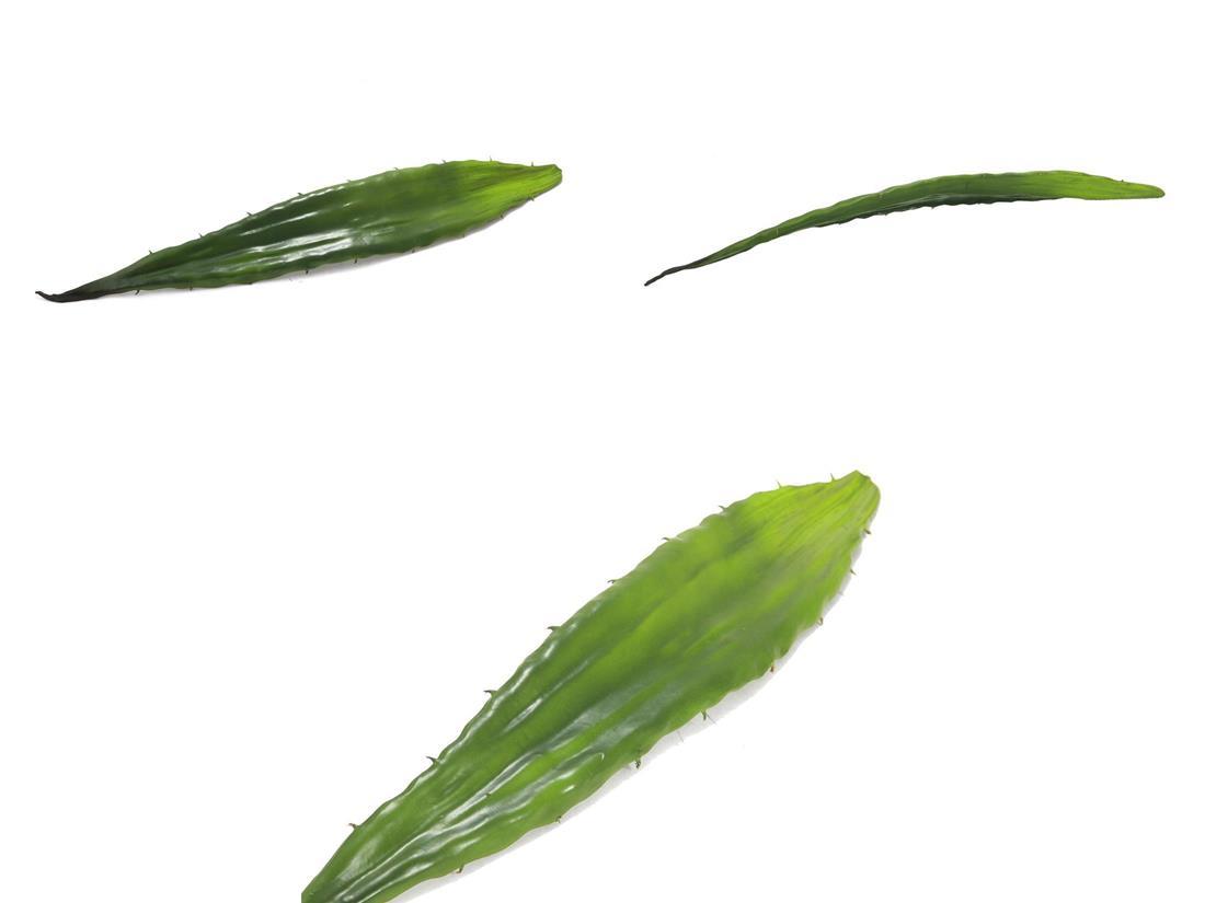 Pos 1 — EAN 4026397480184