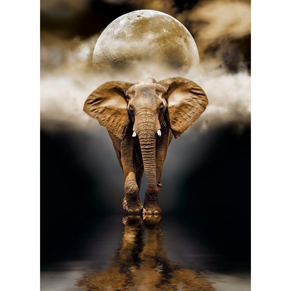 Clementoni High Quality Collection Puzzle 1000 Pieces - Various Designs