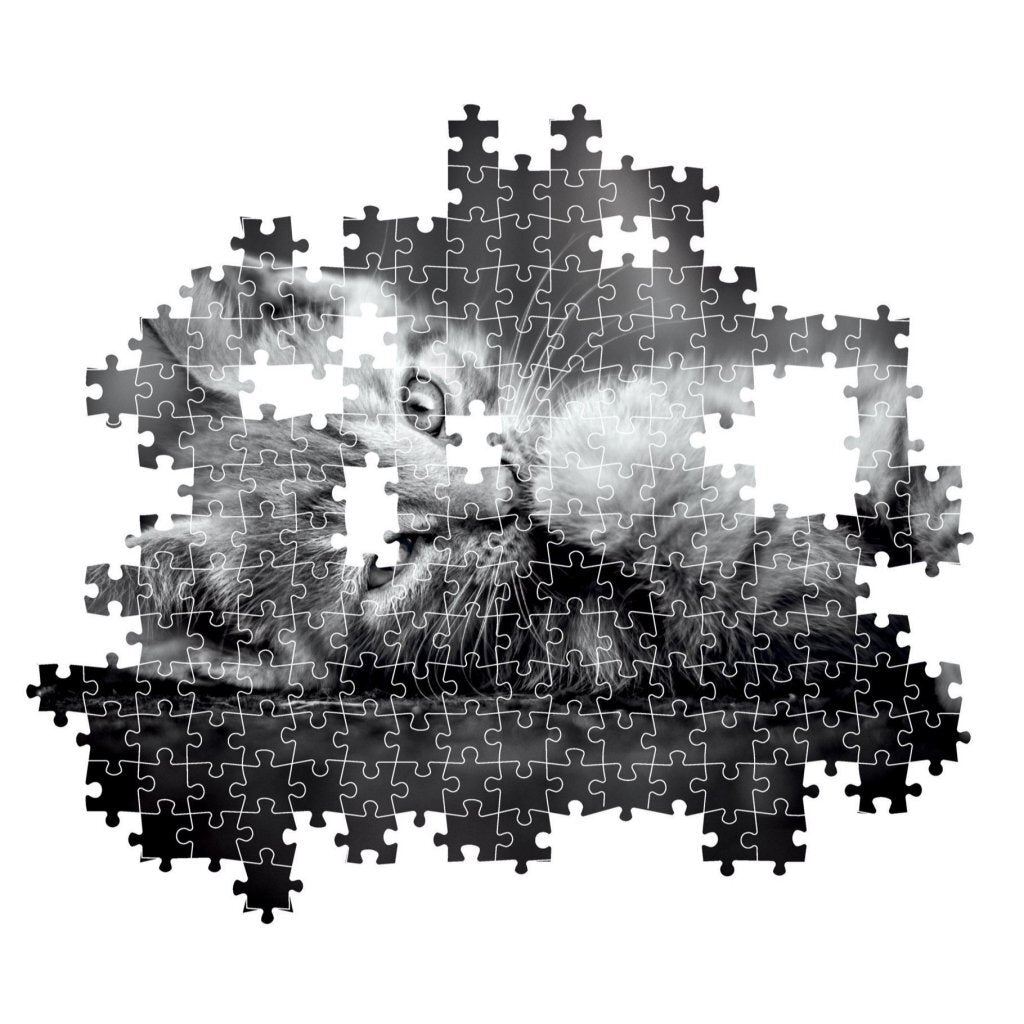 Clementoni High Quality Collection Kitten Puzzle 1000 Pieces + Poster