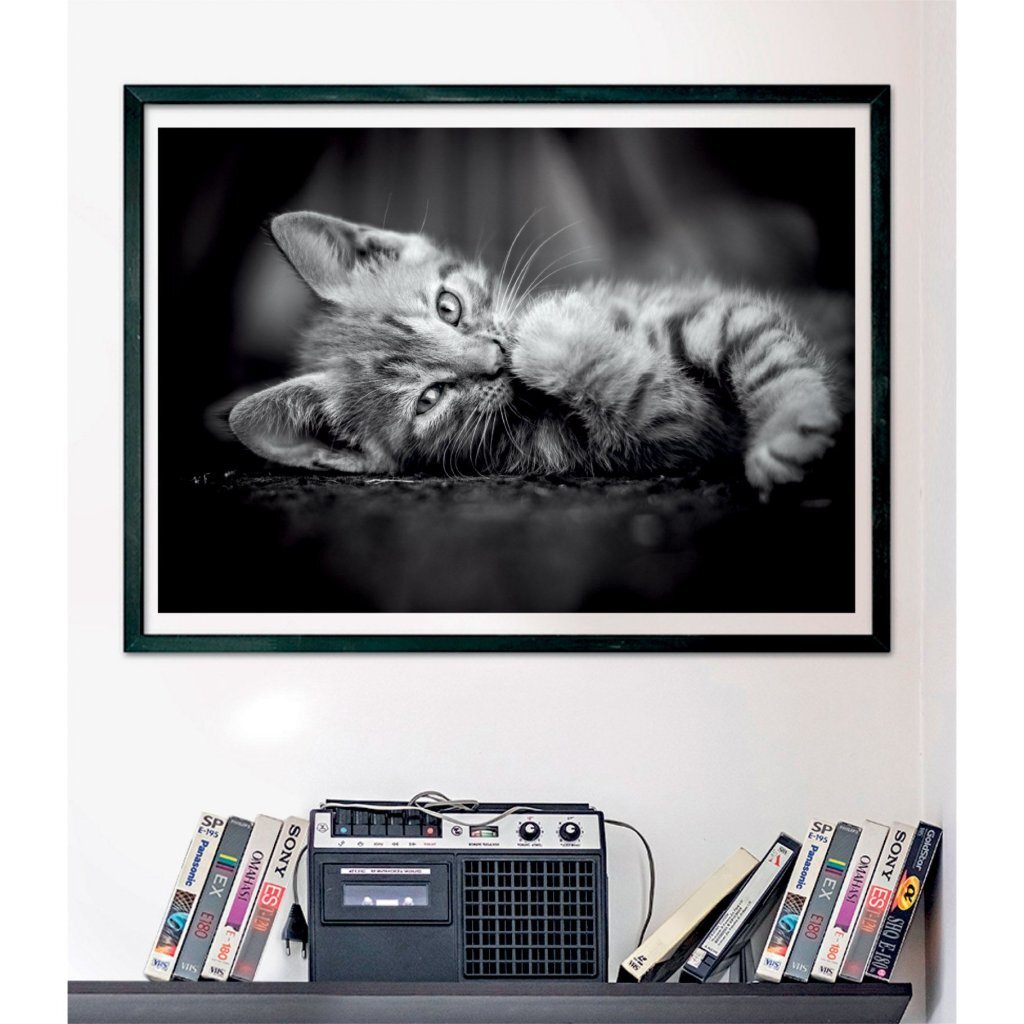 Clementoni High Quality Collection Kitten Puzzle 1000 Pieces + Poster
