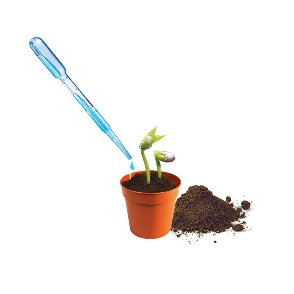 Clementoni Mini Greenhouse Experiment Kit for Ages 7+, 21 x 15 x 5 cm