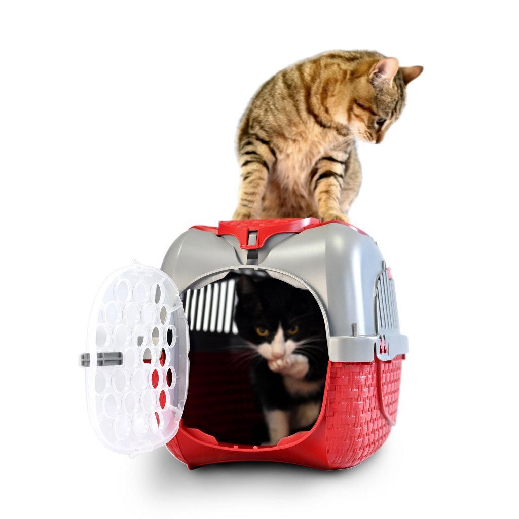 Bama Pet Transport Box 52x33x34 cm Red/Silver
