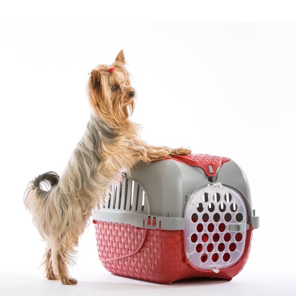 Bama Pet Transport Box 59x38x37 cm Red/Silver