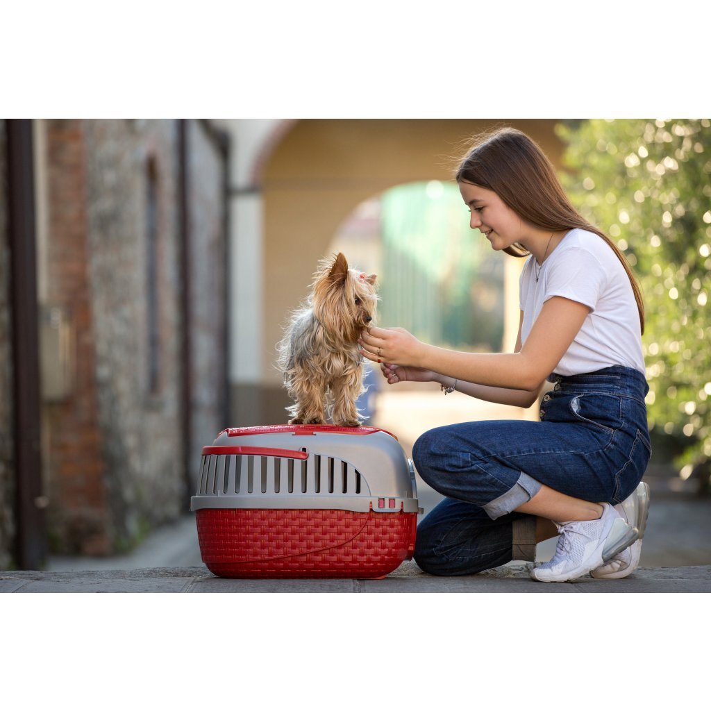 Bama Pet Transport Box 59x38x37 cm Red/Silver