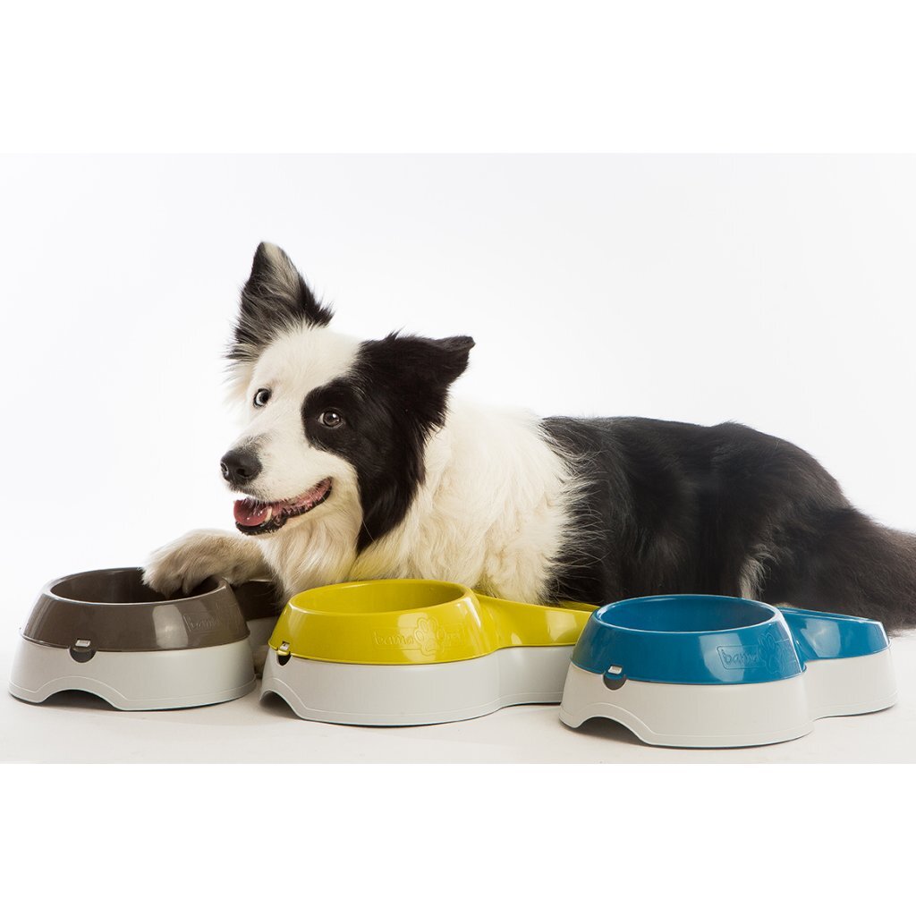 Bama Pet Food Bowl with Water Reservoir 44x27x12 cm Various Versions