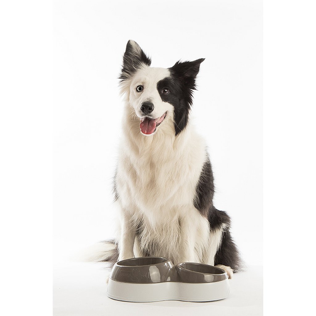 Bama Pet Food Bowl with Water Reservoir 44x27x12 cm Various Versions
