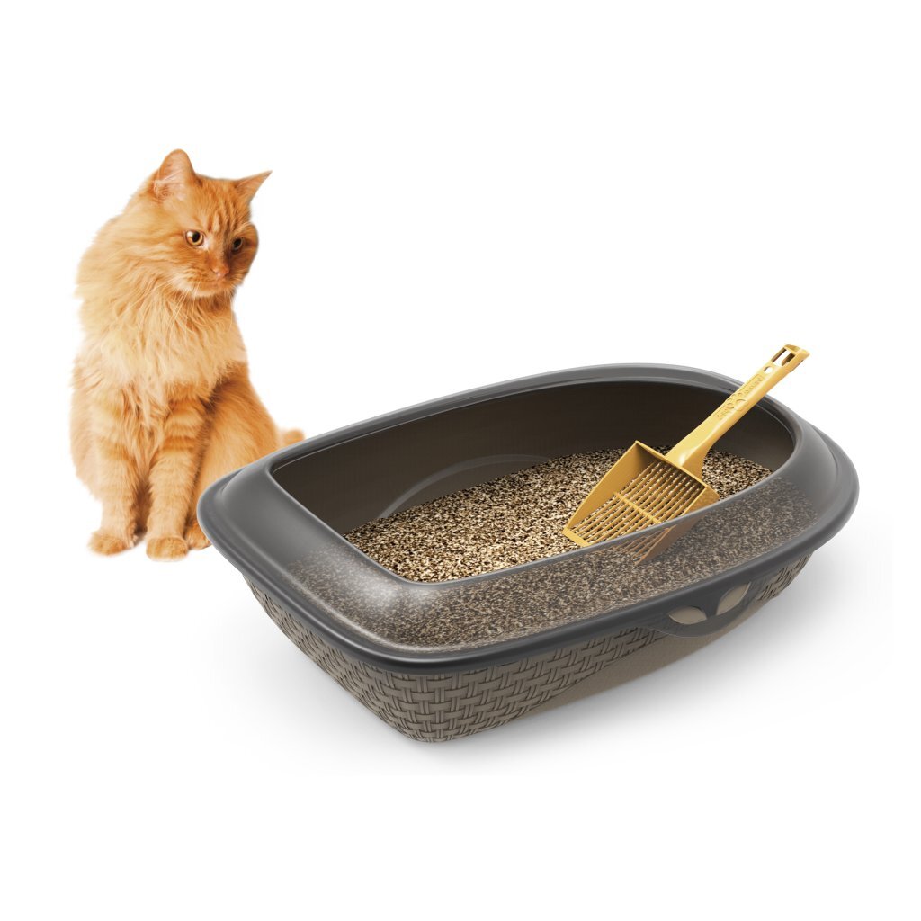 Bama Pet Cat Litter Box 59.5x40.3x17.9 cm Grey