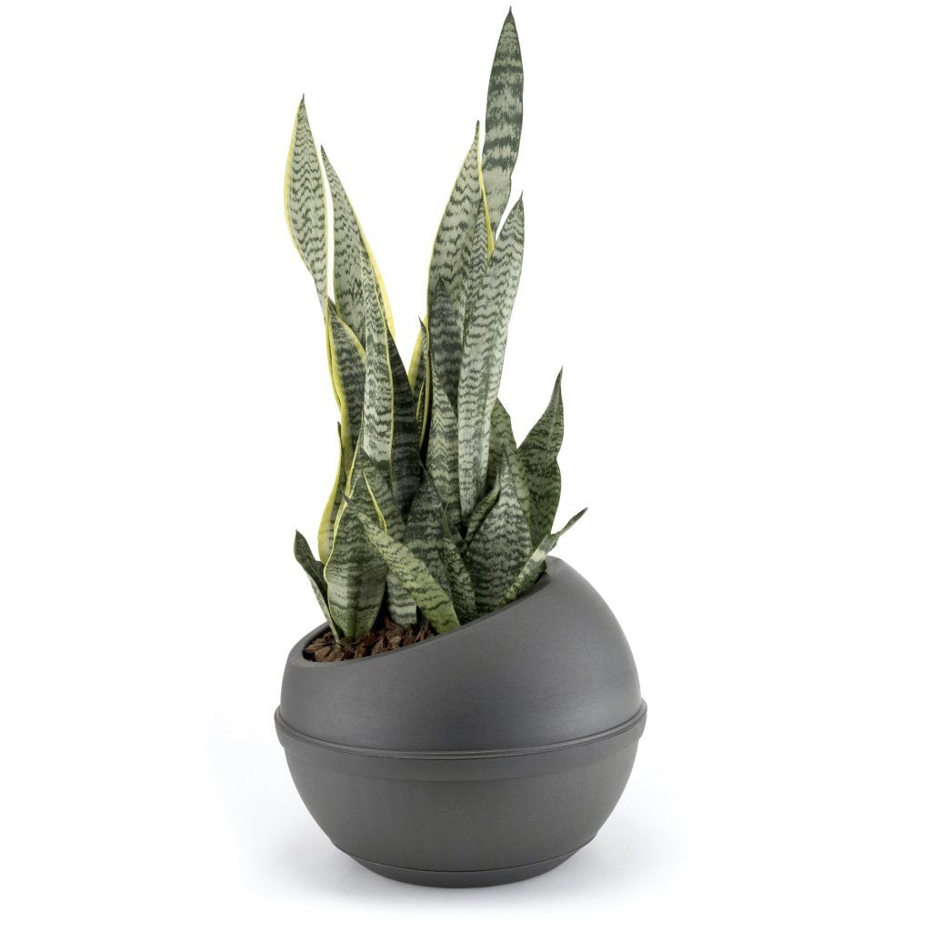 Bama Sfera Flowerpot 23 L 40.5x32 cm Anthracite