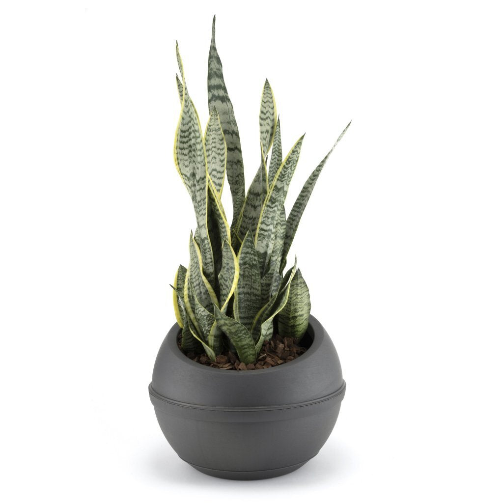 Bama Sfera Flowerpot 23 L 40.5x32 cm Anthracite