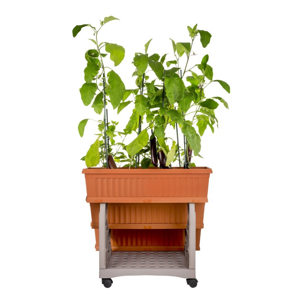Bama Orto Di Kit Planters 80x74x73 cm Terracotta