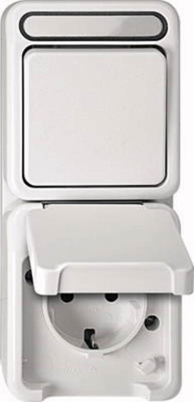 Schneider Electric 1 Stück Komplett Schalter/Steckdosen Kombination AQUASTAR Lichtgrau 4922833 (4922833)