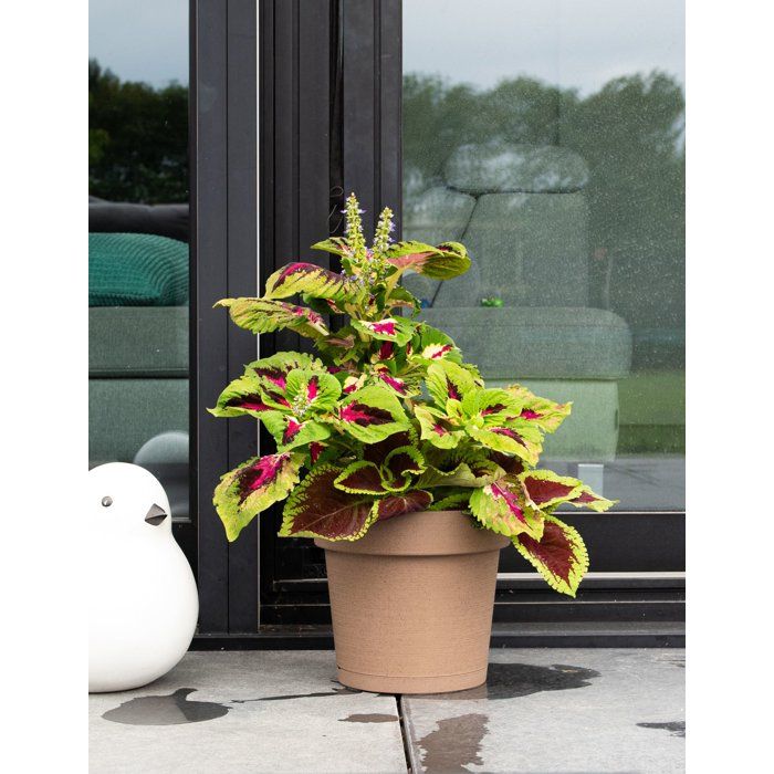 GARDEN ID Round Flower Pot with Reservoir Ø 50 cm - 47 L - H 43 cm - Taupe