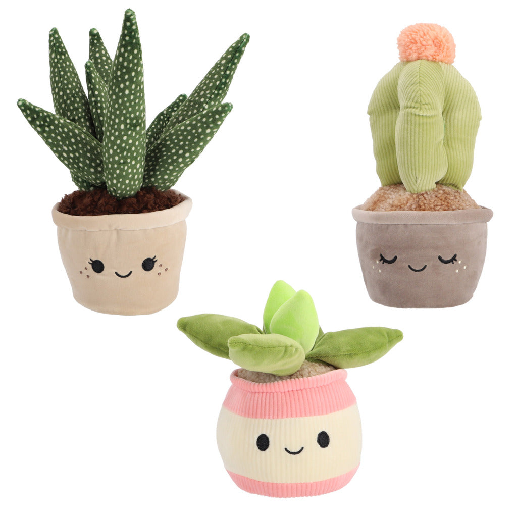 Pluchiez Plush Plants Assorted Set of 3 - Cute Decorative Plush Toys