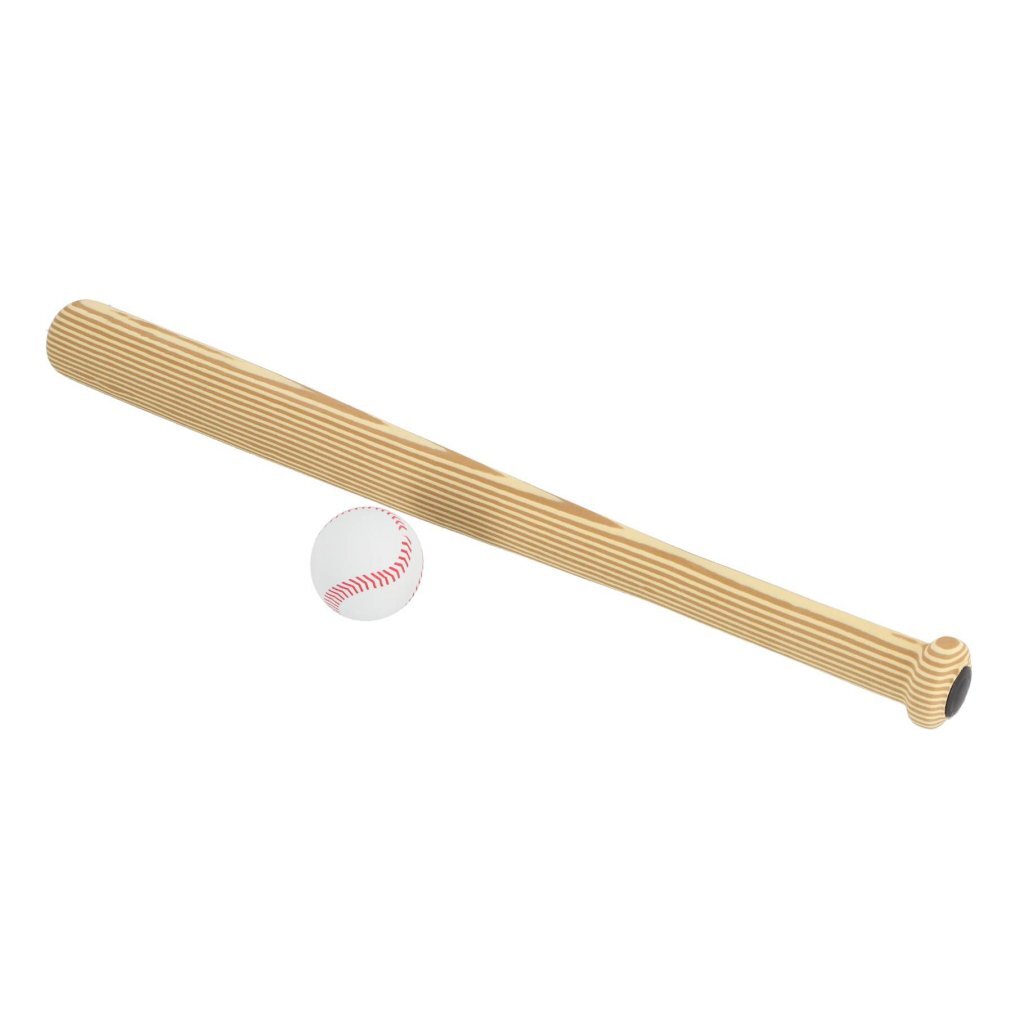 Baseball Bat with Foam Ball
