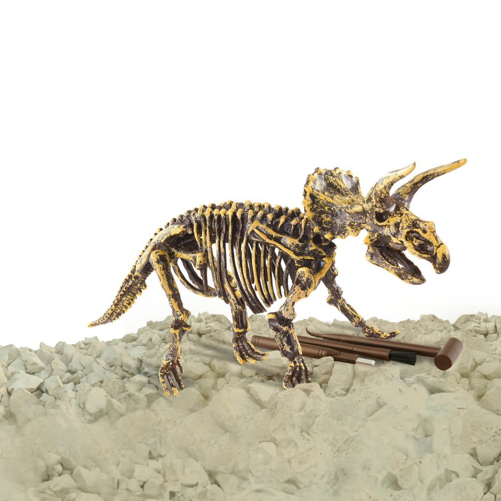 Dinobase Dino 3D Triceratops Skeleton Toy Figure