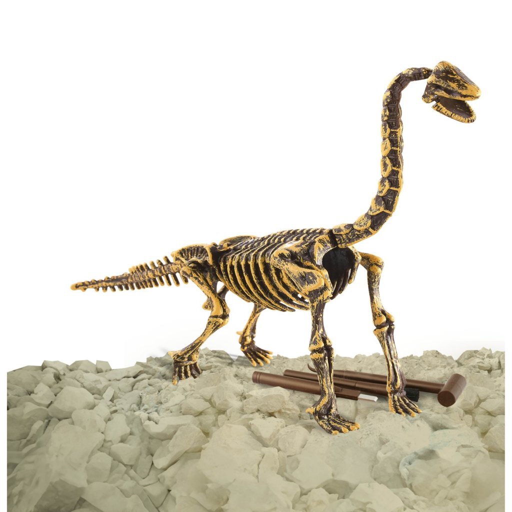 Dinobase Dino 3D Brachiosaurus Skeleton Toy Figure
